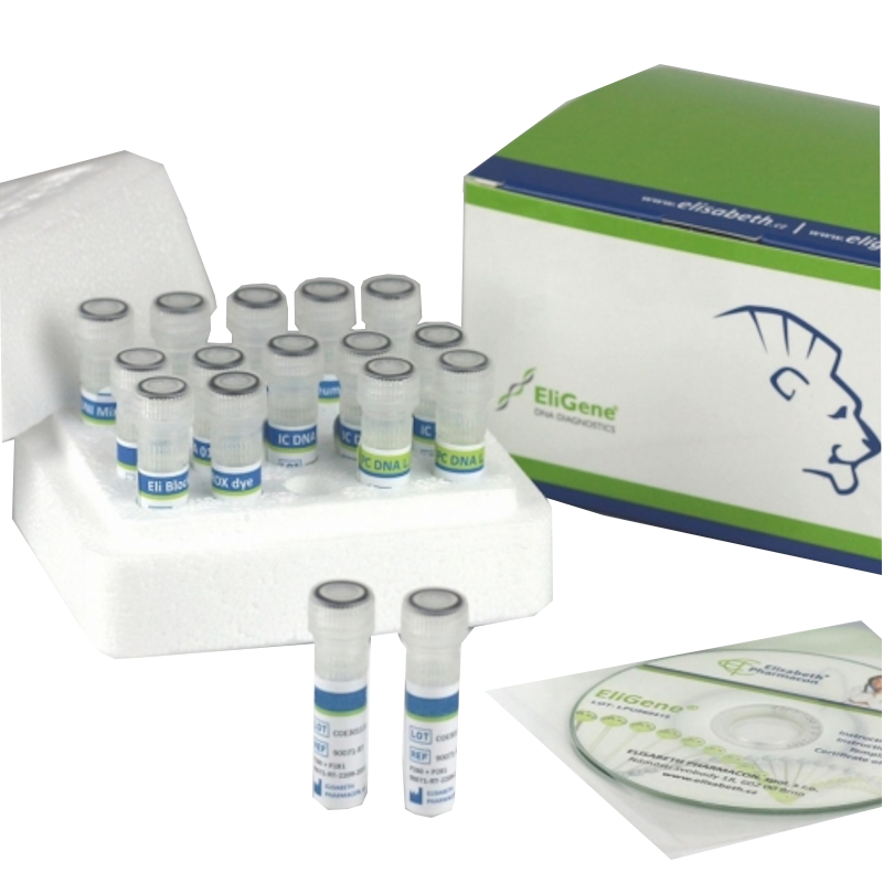 Набір EliGene® Covid 19 Basic A для детек.корон.SARS-CoV-2 мет.кільк.ПЛР,100 р.